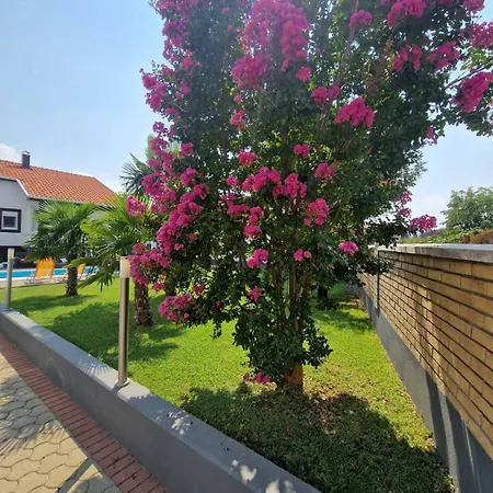 Avlija